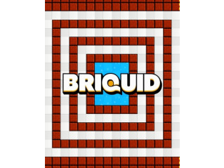 BRIQUID