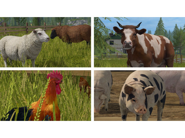 afe278fab5dd65797728412468f1a36122c6fe71759c6a20f1c488d4631fb7cc_4