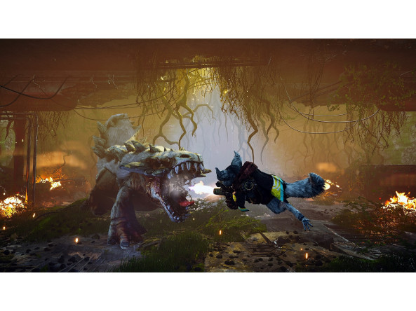 0da0a3c665649dc2dd4f25ea42e98c93925ed59c995e0c42694a178b9e6ae767_2