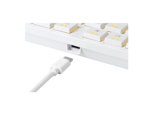 8cf109c43c6bbbb9e3dc828564034269b9d5277c381fe143c59a1728915c8d4e_3