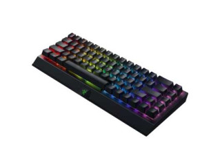 Клавиатура Razer BlackWidow V3 Mini RZ03-03890700-R3R1