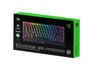 Клавиатура Razer BlackWidow V3 Mini RZ03-03891600-R3R1