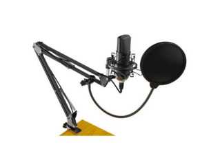 Микрофон Ritmix RDM-169 Black