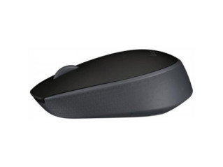 Мышь Logitech M171 Black 910-004424