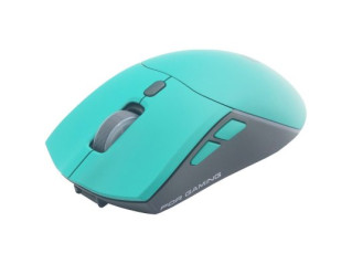 Мышь Raskat MG009WR