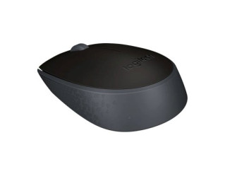 Мышь Logitech M171 Black 910-004643