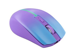 Мышь Defender Mystery MM-301