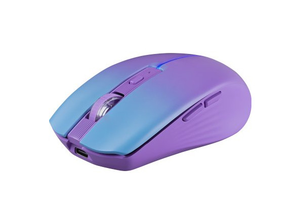 2ed7886559d2c87748e9a6272f5f6b19f4c00a51cb8ec62d4ee92b8e3948de3e_3