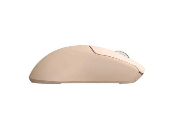 e221514ad3d8d9b31fd22196cfa98e38ea5243b145e4778d66f1049e943ae41a_2