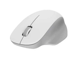 Мышь Xiaomi Comfort Edition BHR9354GL