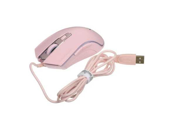 4101499916185a96735bc888e8e4d5892d613c307830f762e811ab28b6513504_4