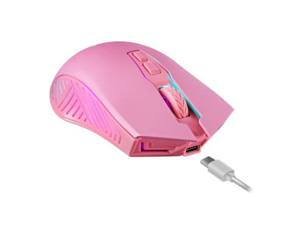 9e7ec04446844a7c3f98cd8ca390daa9895f1a008c6c3657bae42225db35405f_1