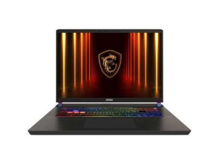 Ноутбук MSI Vector 17 HX AI A2XWJG-99XRU-wpro