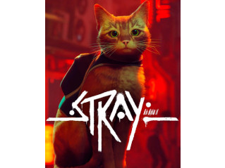 STRAY