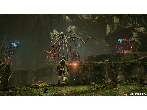 9c1a00716b44b9659f830698603363043816c550a55f9de5c5f8ed224199cd61_3