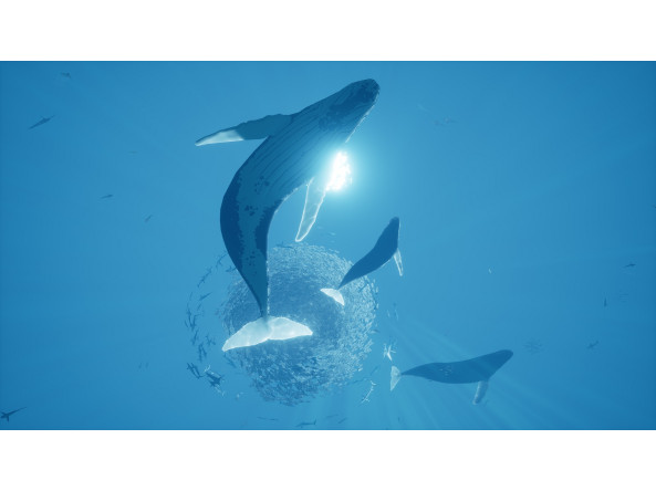 07be123f254712ed6a5c9412101a332e061493aa525a56f1f3c2a95a515b0f03_2