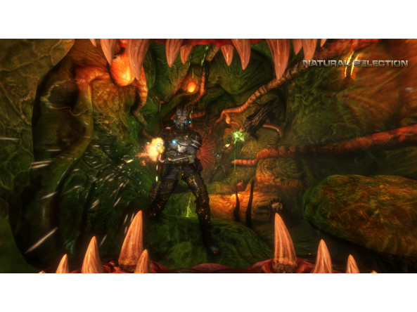 378659291c55ee89b8a5e8167f3a9ed77a21582cb45aba96ef3c5a9539d56cd6_2