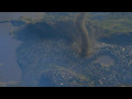 e2971dced8154623efeb989e265eec5f11fe25cf91f60561c1830faab2433325_3
