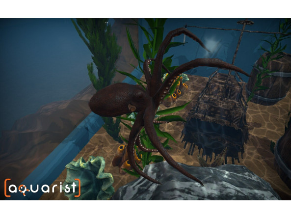 61bf22dd1caf80f907722e73c111941f6050fdad66e0ec53d2f37c71a3d8ec10_2