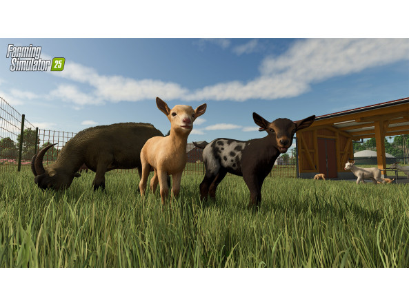 8d97d4826154a3fc3c711eb35e059d74fcfca467aaa766ff502c260b04cd93d3_4