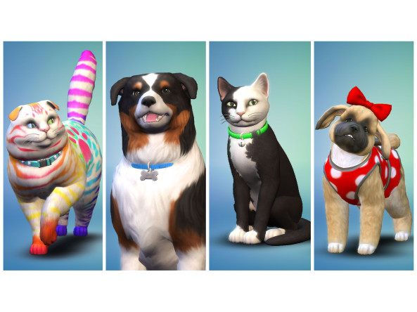 118b55b250587cff2c815a4919022e1a7857ff80e067c1f9a1e14463cb2c6d78_4