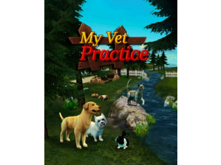 MY VET PRACTICE