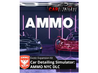 CAR DETAILING SIMULATOR - AMMO NYC DLC