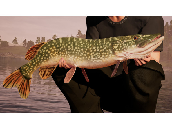 e8a5065f720be02fc0483589c5d3b6502a85036bef4a307f383fae8ae0b6ecda_4