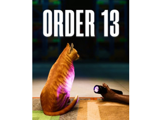 ORDER 13