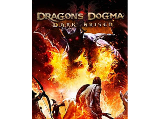 DRAGON'S DOGMA: DARK ARISEN