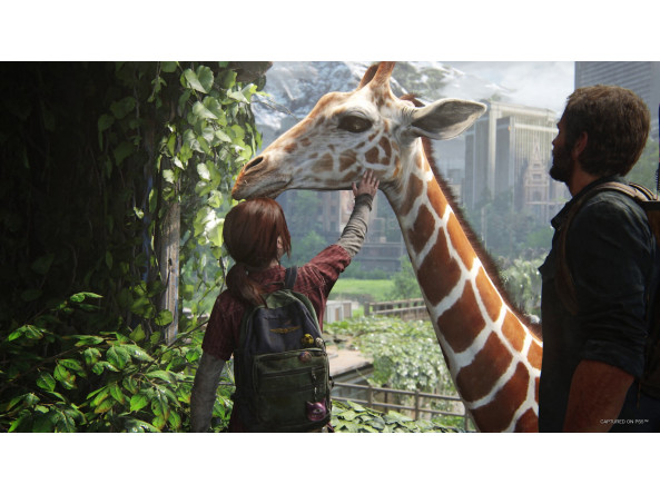 654901c75beda729d8c29558ab691ee255ff15d00191f387b8c72b910dacb7dc_2