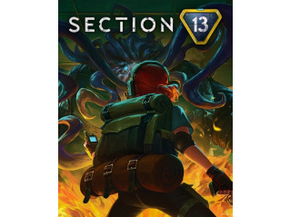 SECTION 13