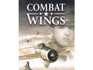 COMBAT WINGS